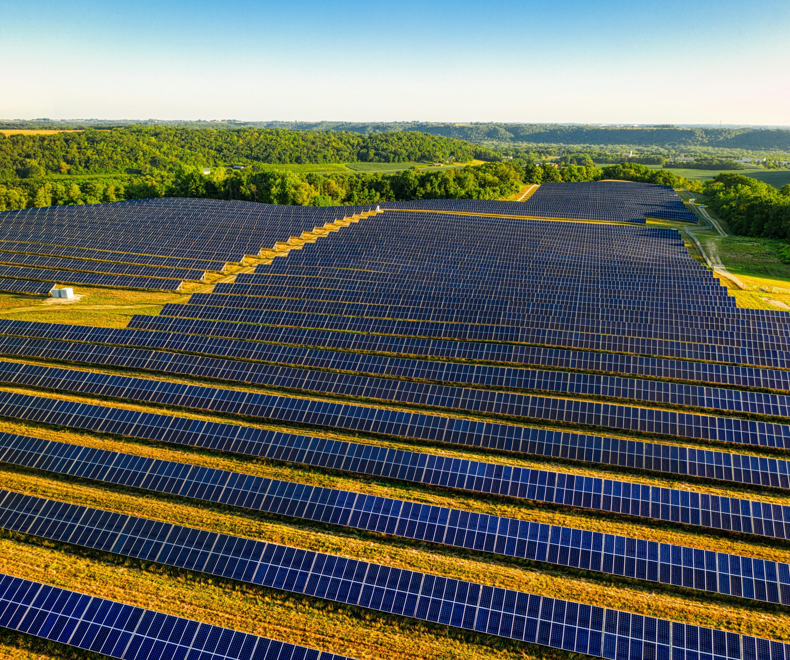 Energía solar en el agro: ¿Por qué cada vez más productores la eligen?